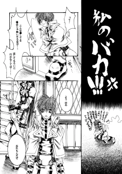 Page 13 of NOVA ERApain