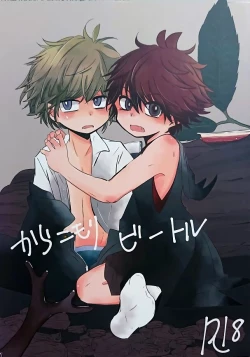 Page 1 of Karakomori Beetle