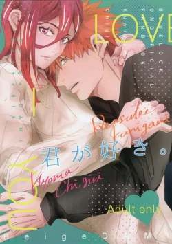 Page 1 of Kimi ga Suki.