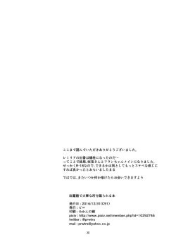 Page 30 of Koumakan de Daiji na Tokoro o Kerareru Hon