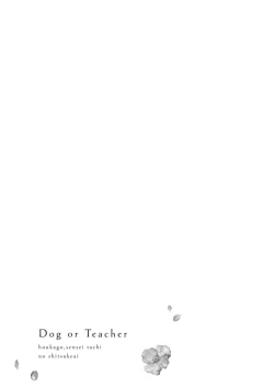 Page 90 of Dog or tīchātachi no shitsuke ke ai放学后，老师们的调教恋爱4