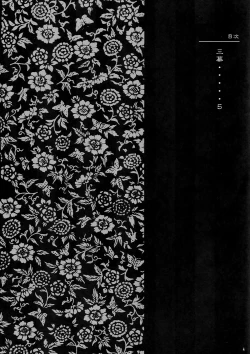 Page 3 of INU/AO Posterior