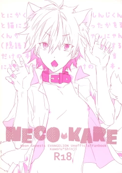 Page 1 of NECOKARE