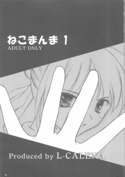 Page 3 of Nekomanma 1