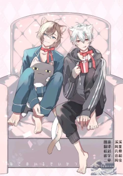 Page 1 of Neko no Iru Seikatsu | 有猫的生活