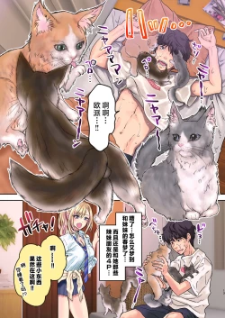 Page 13 of Tsuyokawa Imouto x Kyousei Love Koubi 4