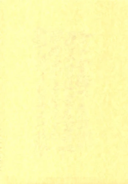 Page 4 of Arimadomoe