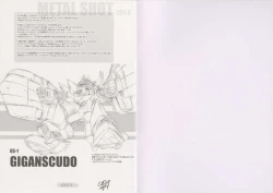 Page 6 of METAL SHOT TRY 4