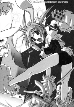 Page 203 of Kupa Resort