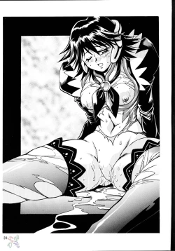 Page 38 of Corrector