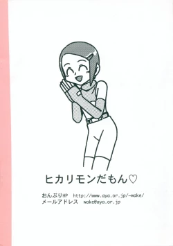 Page 13 of Hikarimon Damon