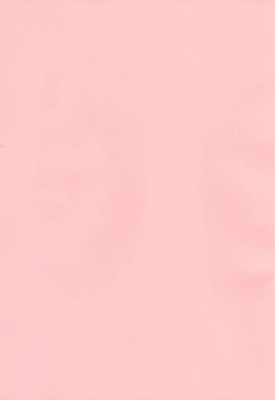 Page 2 of Otonanopuri 5