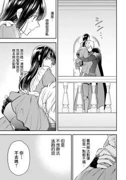 Page 38 of i sekai de migawari hime ni nari haō ni ubawa remashita ​| 在异世界成为了替身公主被霸王掳走了 1-6