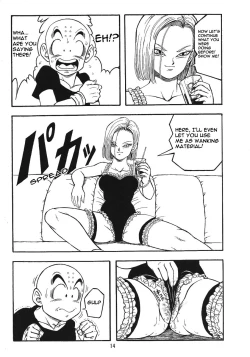 Page 13 of DragonBall H Maki San