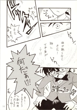 Page 14 of Meitantei DX