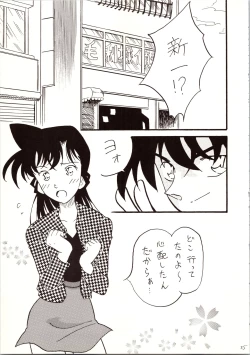 Page 35 of Meitantei DX