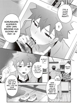 Page 19 of Homurabara no Brownie Emiya Shirou Soku Hame Hon