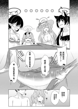 Page 33 of Daily Shiroko Summer Notes