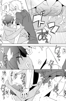 Page 13 of Makezugirai