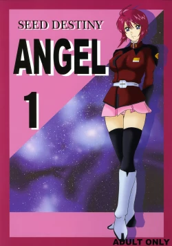 Page 1 of SEED DESTINY ANGEL 1
