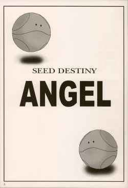 Page 2 of SEED DESTINY ANGEL 1