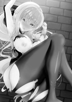 Page 2 of Morgan Heika no Kankin Nisshi