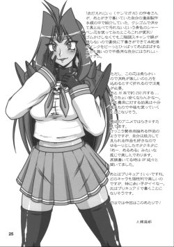 Page 24 of Doreiyers 2