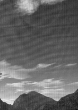 Page 22 of Ore Pants