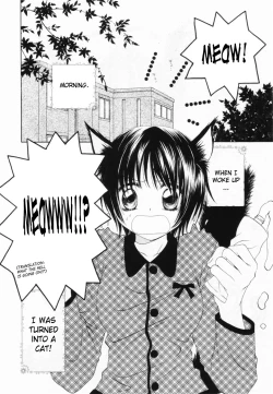 Page 61 of Love Marmot