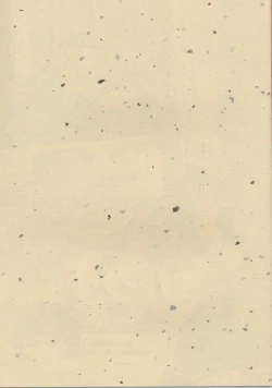 Page 11 of 千鶴哭いて己が肩を掻き抱き楓ひとり膝に顔埋め咽び泣く。