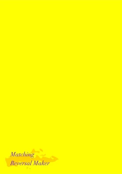 Page 107 of Matching Reversal Maker 13
