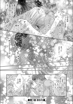 Page 28 of Ore-sama Seek no Hanayome Dorei 1