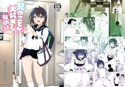 Page 2 of Onii-chan no Koto ga Daisuki!! na Imouto no Hanashi | 最喜欢哥哥的妹妹的故事