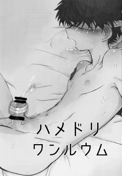 Page 2 of Hamedori One Room