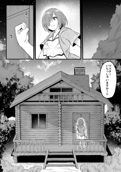Page 11 of Musashi-chan to Himitsu no Nettaiya