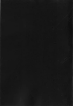 Page 24 of Crossbell no Senka