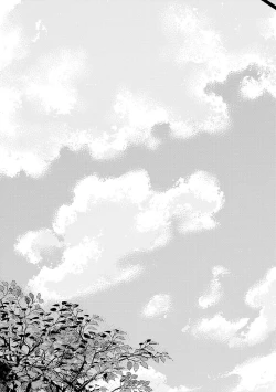 Page 222 of PUNKS TRIANGLE | 朋克三角