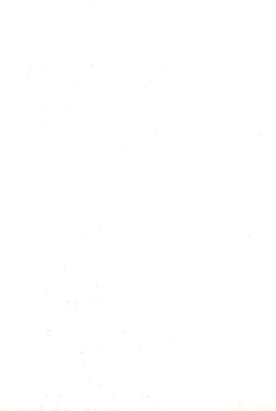 Page 53 of Omise no Neko 3