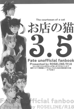 Page 5 of Omise no Neko 3.5