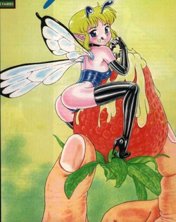 Download Bondage Fairies 1