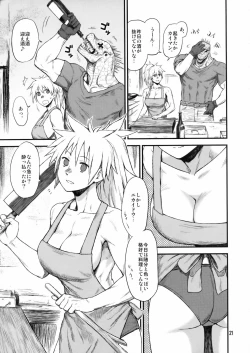 Page 20 of Hi-SICS 07