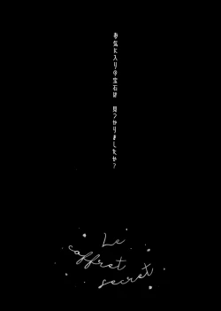 Page 250 of Secret Coffret