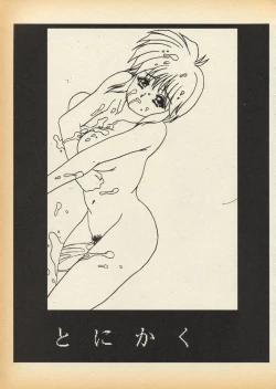 Page 15 of K1-Shell 95