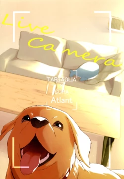 Page 35 of Live Camera