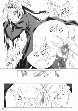 Page 20 of The Scarlet Letter