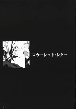 Page 2 of The Scarlet Letter