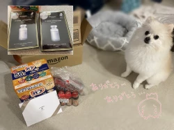 Page 6 of Comiket Kanren no E to Botsu E Sabun