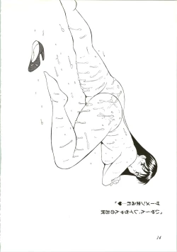 Page 14 of Nagoya ga Saikou!