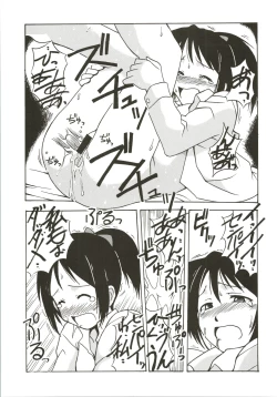 Page 13 of Shinobu SP.
