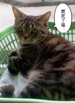 Page 65 of Youjo Kumiko